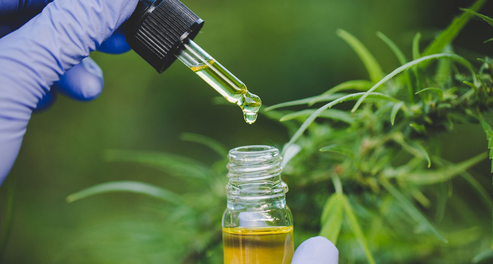 Used Botanical Oil Extration Equipment